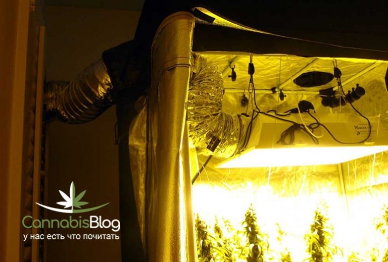 установка для выращивания марихуаны
