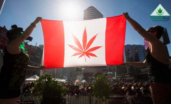Канада хочет декриминализировать все наркотики