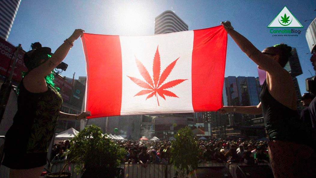 Канада хочет декриминализировать все наркотики