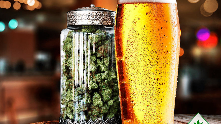 Почему марихуана под пиво может быть опасной