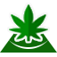 cannabis-blog.com-logo
