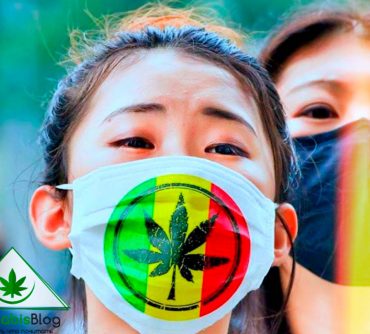 медицинская марихуана в Китае