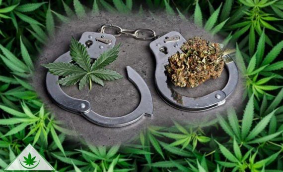 декриминализация или легализация марихуаны