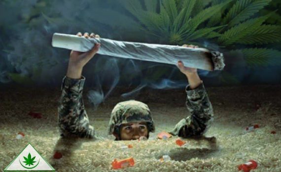 марихуана для ветеранов войны