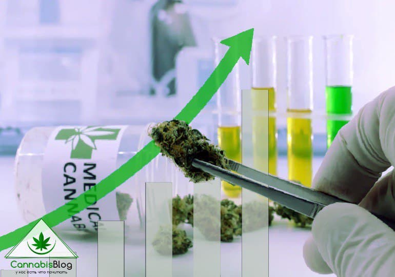 исследования марихуаны: рост финансирования