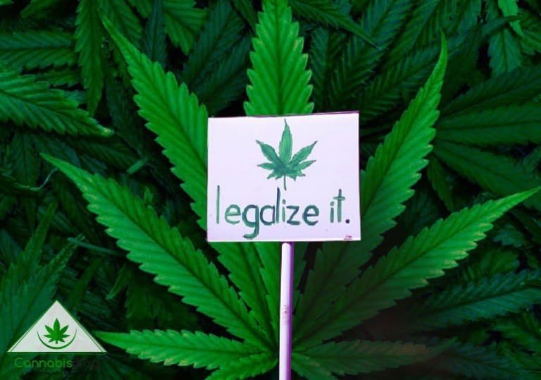 как добиться легализации марихуаны