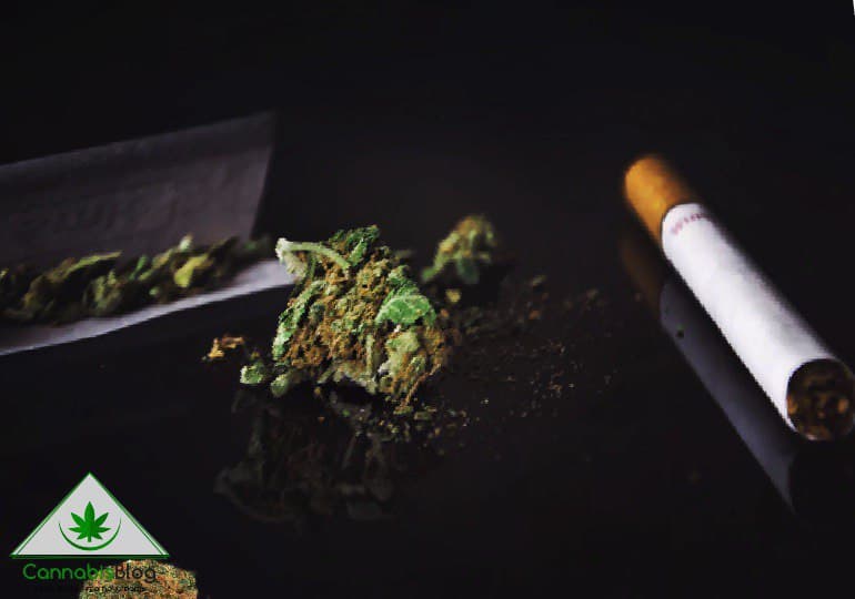 марихуана или табак