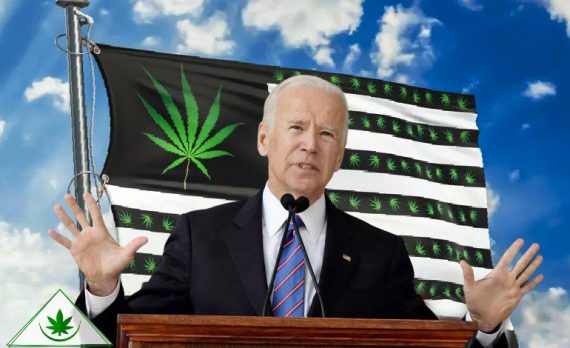 Легализация марихуаны и Джо Байден