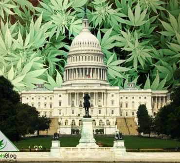 легализация марихуаны в США