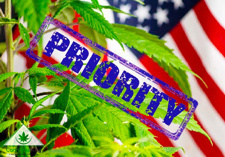 реформа марихуаны в приоритете
