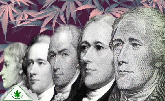 история мариуханы в США