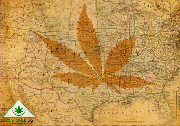 марихуана и первые президенты