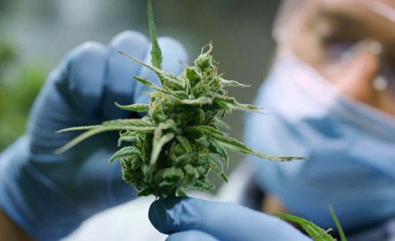 Влияние каннабиса на сон