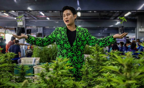 Законы про каннабис в Таиланде