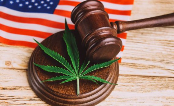 Новые законы про каннабис в США