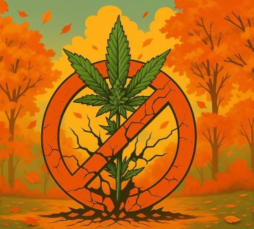 каннабис новости за октябрь 2025